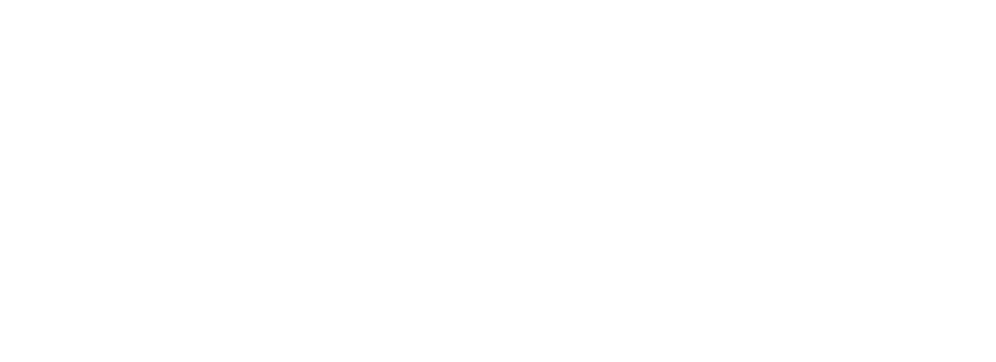 logo light